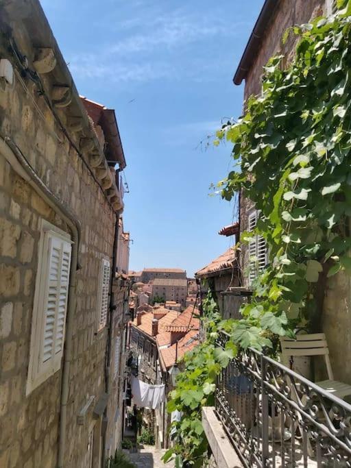 شقة دوبروفينك  في House Marija In Old Town المظهر الخارجي الصورة