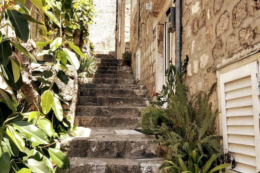 شقة دوبروفينك  في House Marija In Old Town المظهر الخارجي الصورة